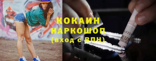 дмт Осташков