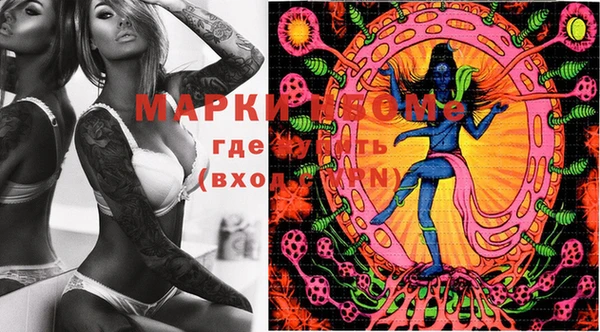 дмт Осташков