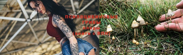 mdma Осинники